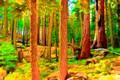 Sequoia National Park-2
